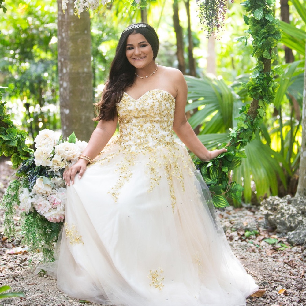 Beautiful Quinceanera Dress/Wedding Dress Size 8